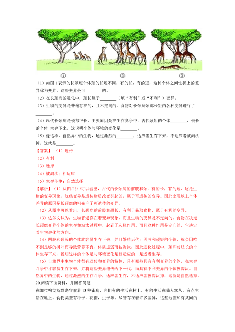 专题08生命起源和生物进化（解析版）-2021-2022学年八年级上学期期末复习之重难点突破（人教版）_初中全科电子版试卷练习试题_生物_生物8上练习_人教生物8年级上专项练习23份