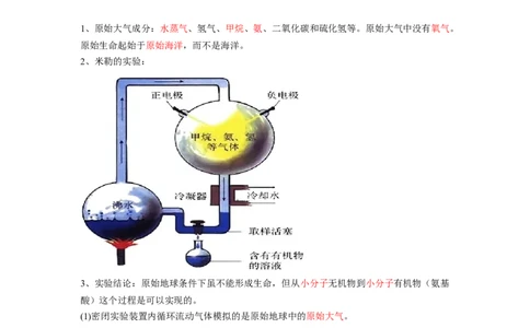 专题08生命起源和生物进化（解析版）-2021-2022学年八年级上学期期末复习之重难点突破（人教版）_初中全科电子版试卷练习试题_生物_生物8上练习_人教生物8年级上专项练习23份