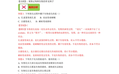 专题08生命起源和生物进化（解析版）-2021-2022学年八年级上学期期末复习之重难点突破（人教版）_初中全科电子版试卷练习试题_生物_生物8上练习_人教生物8年级上专项练习23份