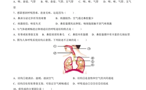 4.3.1呼吸道对空气的处理（原卷版）_初中全科电子版试卷练习试题_生物_生物人教版7下练习_人教生物7年级下课时练习40份_第2套七年级生物下册课时练习（人教版）20份