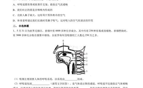 4.3.1呼吸道对空气的处理（原卷版）_初中全科电子版试卷练习试题_生物_生物人教版7下练习_人教生物7年级下课时练习40份_第2套七年级生物下册课时练习（人教版）20份