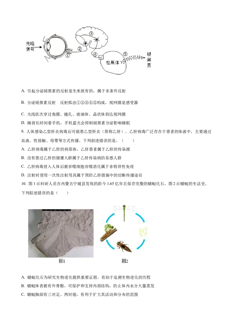 2024年山东省泰安市中考生物真题（原卷版）(1)_山东历年中考真题_山东省历年中考真题2013~2024_初中生物历年真题（2013-2024）