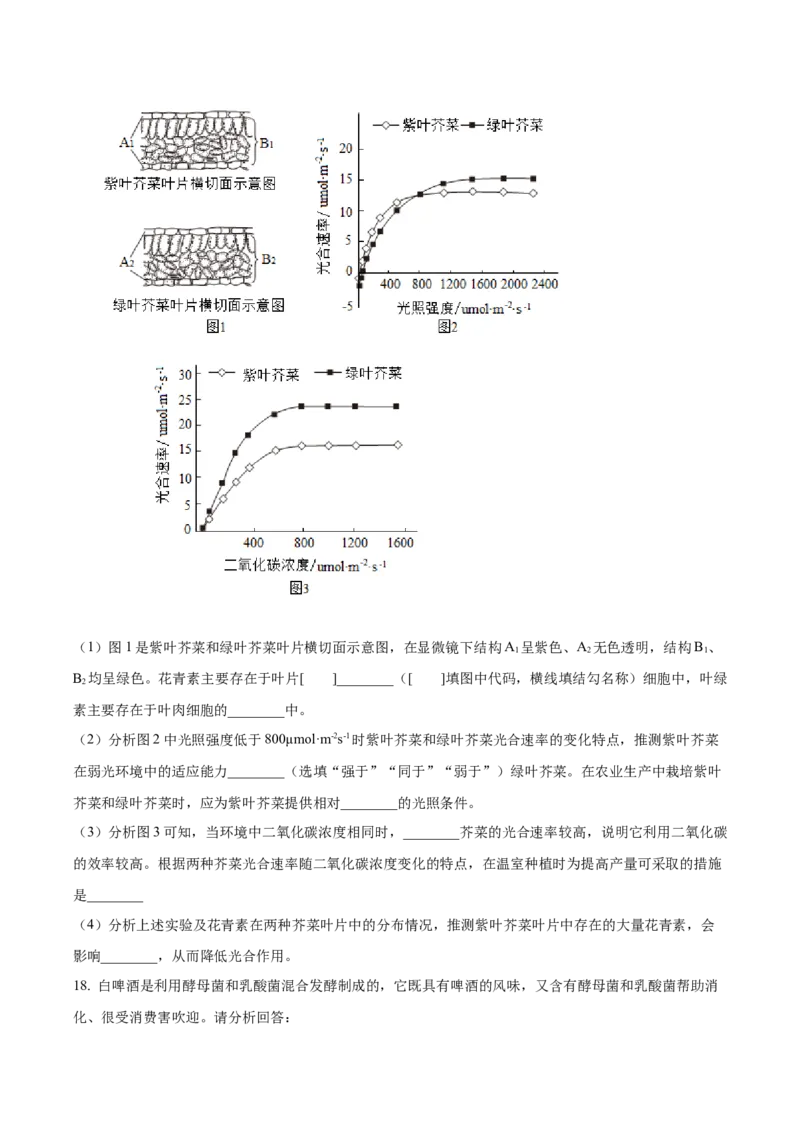 2024年山东省泰安市中考生物真题（原卷版）(1)_山东历年中考真题_山东省历年中考真题2013~2024_初中生物历年真题（2013-2024）