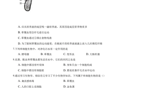 专题2.2.4单细胞生物（原卷版）_初中全科电子版试卷练习试题_生物_生物人教版7上练习&mdash;24新版已更新_人教生物7年级上课时练习39份_七年级生物上册课时练习（人教版）18份