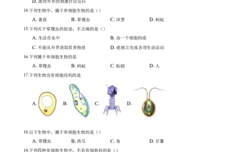 专题2.2.4单细胞生物（原卷版）_初中全科电子版试卷练习试题_生物_生物人教版7上练习&mdash;24新版已更新_人教生物7年级上课时练习39份_七年级生物上册课时练习（人教版）18份