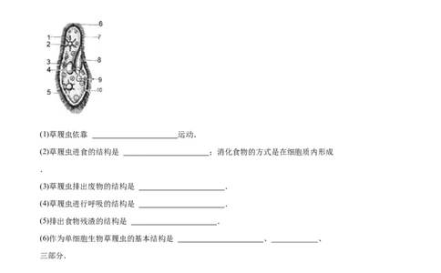 专题2.2.4单细胞生物（原卷版）_初中全科电子版试卷练习试题_生物_生物人教版7上练习&mdash;24新版已更新_人教生物7年级上课时练习39份_七年级生物上册课时练习（人教版）18份