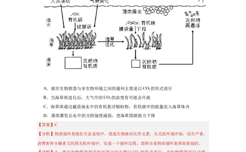 专题17生态系统（7大题型）（解析版）_2025年新高考资料_一轮复习_备战2025年高考生物一轮复习题型全覆盖（新高考通用）