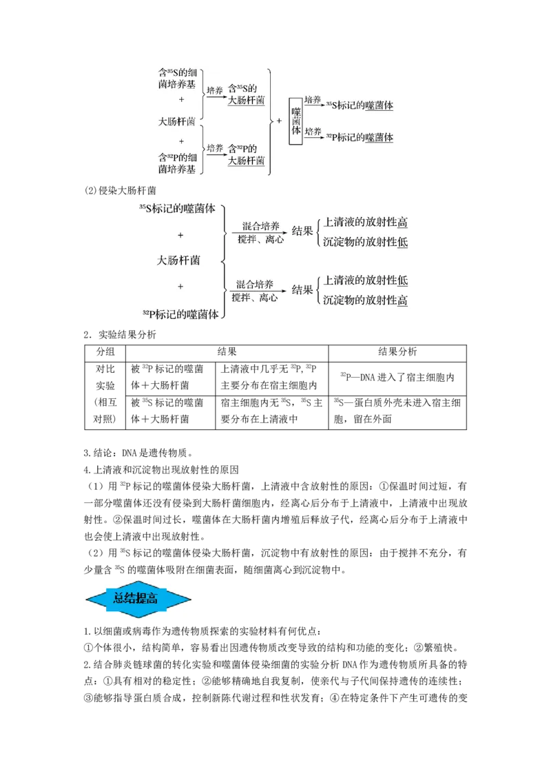 专题17DNA是主要的遗传物质（串讲）（原卷版）_新高考复习资料_2024年新高考复习资料_一轮复习资料_完备战2024年高考生物一轮复习串讲精练（新高考专用）_串讲