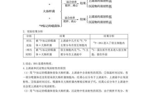 专题17DNA是主要的遗传物质（串讲）（原卷版）_新高考复习资料_2024年新高考复习资料_一轮复习资料_完备战2024年高考生物一轮复习串讲精练（新高考专用）_串讲