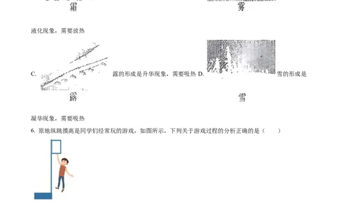 2024年山东省烟台市中考物理真题（原卷版）_山东历年中考真题_山东省历年中考真题2013~2024_初中物理历年真题（2013-2024）