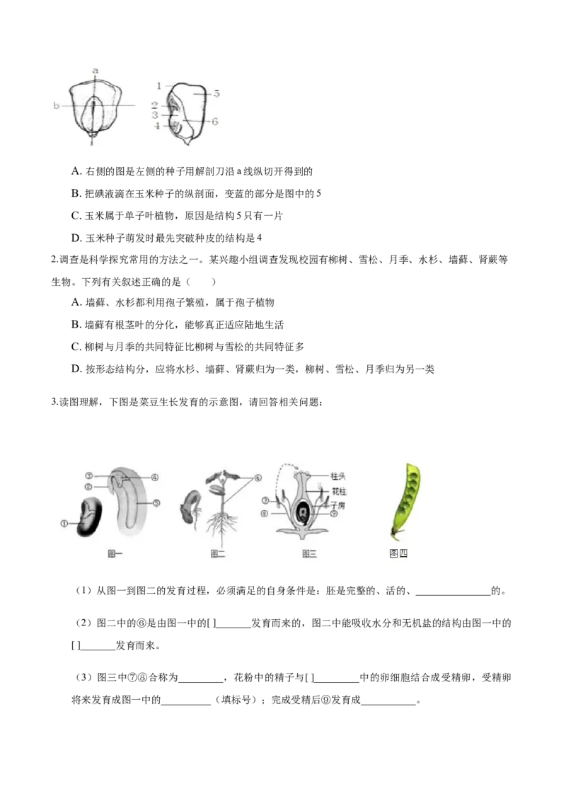 专题3.1.2种子植物（原卷版）_初中全科电子版试卷练习试题_生物_生物人教版7上练习&mdash;24新版已更新_人教生物7年级上课时练习39份_七年级生物上册课时练习（人教版）18份