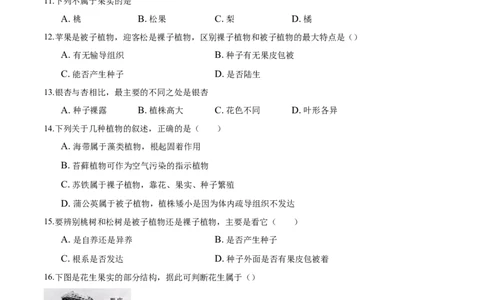 专题3.1.2种子植物（原卷版）_初中全科电子版试卷练习试题_生物_生物人教版7上练习&mdash;24新版已更新_人教生物7年级上课时练习39份_七年级生物上册课时练习（人教版）18份