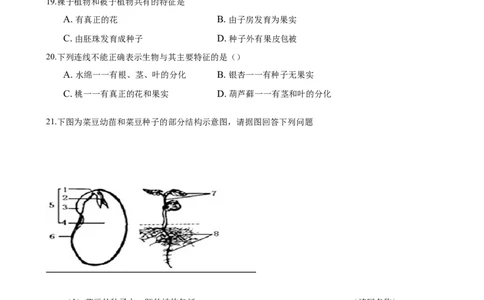 专题3.1.2种子植物（原卷版）_初中全科电子版试卷练习试题_生物_生物人教版7上练习&mdash;24新版已更新_人教生物7年级上课时练习39份_七年级生物上册课时练习（人教版）18份