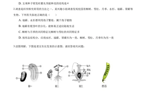 专题3.1.2种子植物（原卷版）_初中全科电子版试卷练习试题_生物_生物人教版7上练习&mdash;24新版已更新_人教生物7年级上课时练习39份_七年级生物上册课时练习（人教版）18份