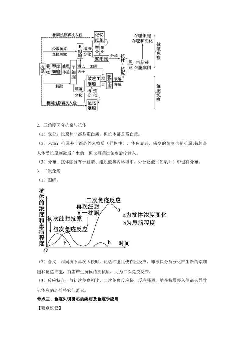 专题25免疫调节（教师版）_新高考复习资料_2023年新高考复习资料_二轮复习_增分要点2023高考生物二轮复习专题解读和分层训练291073137_专题25免疫调节