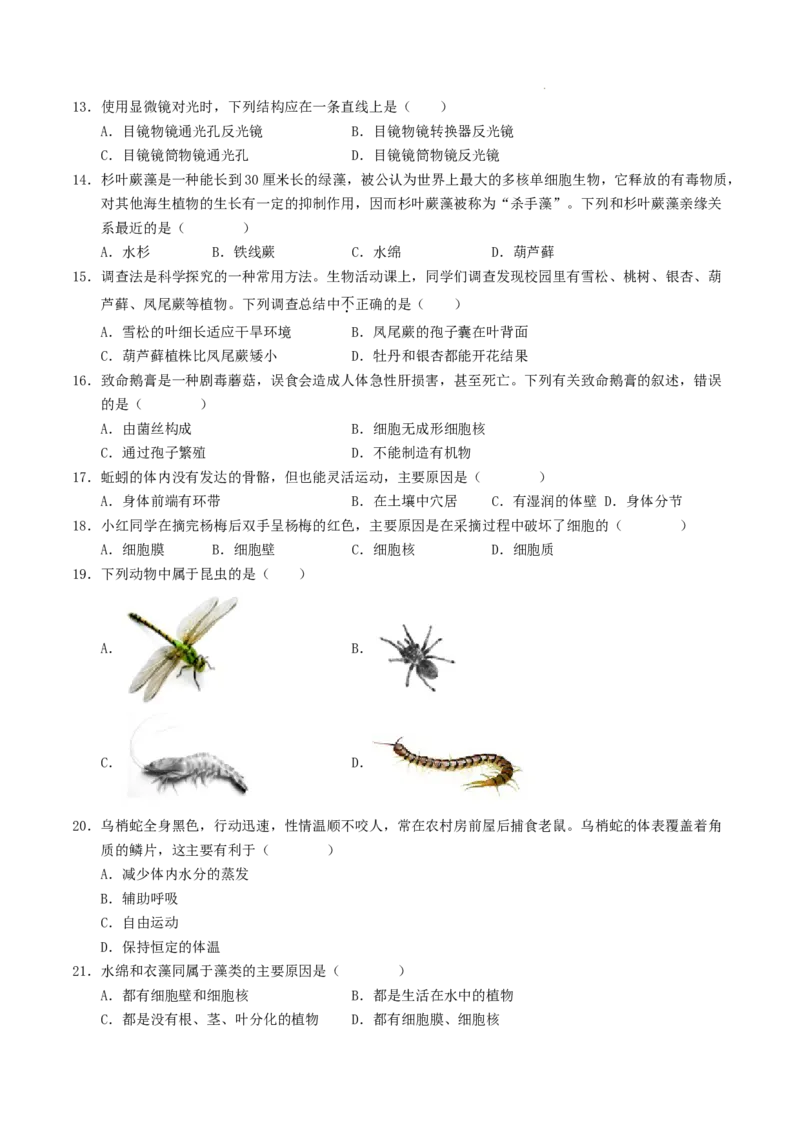 七年级生物期末模拟卷（考试版A4）测试范围：人教版2024全册（全国通用）_初中全科电子版试卷练习试题_生物_生物人教版7上练习&mdash;24新版已更新