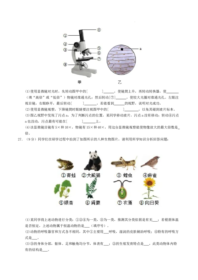 七年级生物期末模拟卷（考试版A4）测试范围：人教版2024全册（全国通用）_初中全科电子版试卷练习试题_生物_生物人教版7上练习&mdash;24新版已更新