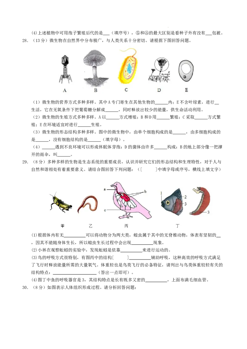 七年级生物期末模拟卷（考试版A4）测试范围：人教版2024全册（全国通用）_初中全科电子版试卷练习试题_生物_生物人教版7上练习&mdash;24新版已更新