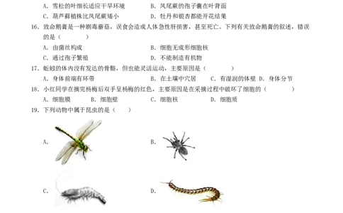 七年级生物期末模拟卷（考试版A4）测试范围：人教版2024全册（全国通用）_初中全科电子版试卷练习试题_生物_生物人教版7上练习&mdash;24新版已更新