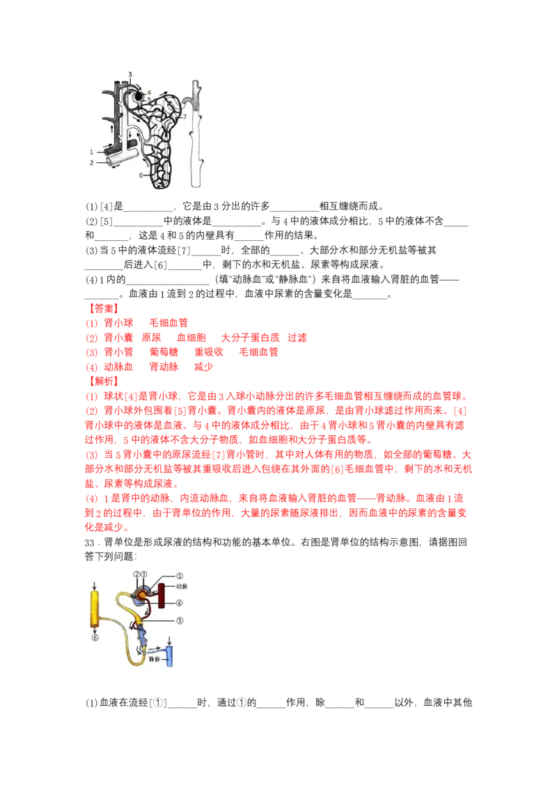 4.5人体内废物的排出-（人教版）（解析版）_初中全科电子版试卷练习试题_生物_生物人教版7下练习_人教生物7年级下课时练习40份