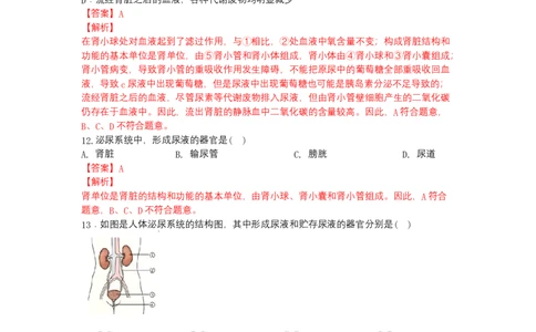 4.5人体内废物的排出-（人教版）（解析版）_初中全科电子版试卷练习试题_生物_生物人教版7下练习_人教生物7年级下课时练习40份