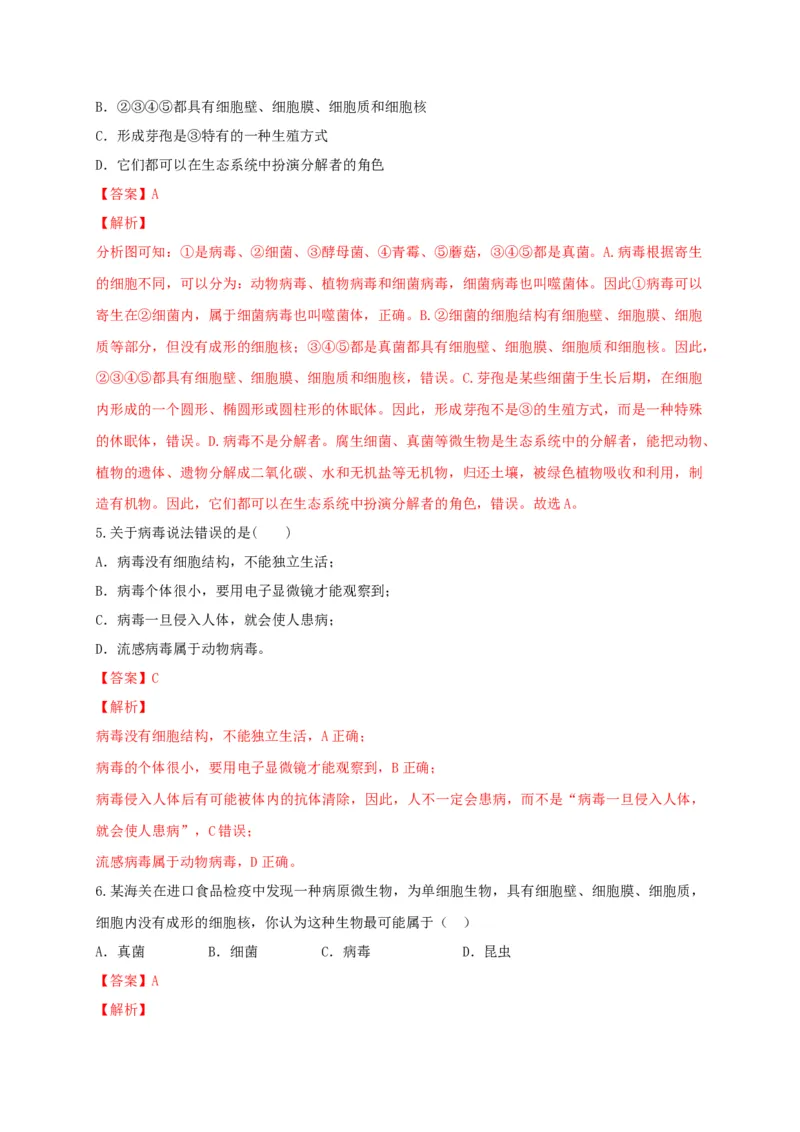 5.5病毒（章末检测）（备作业）-（人教版）（解析版）_初中全科电子版试卷练习试题_生物_生物8上练习_人教生物8年级上单元试卷48份