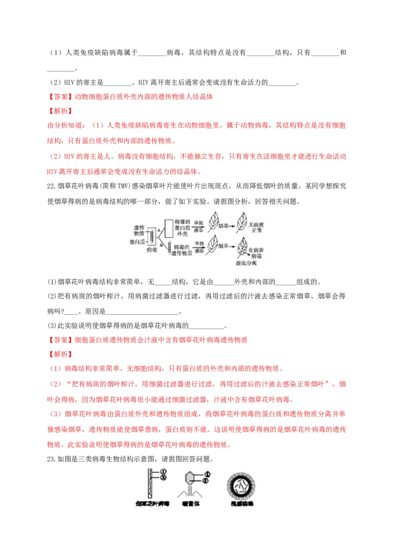 5.5病毒（章末检测）（备作业）-（人教版）（解析版）_初中全科电子版试卷练习试题_生物_生物8上练习_人教生物8年级上单元试卷48份
