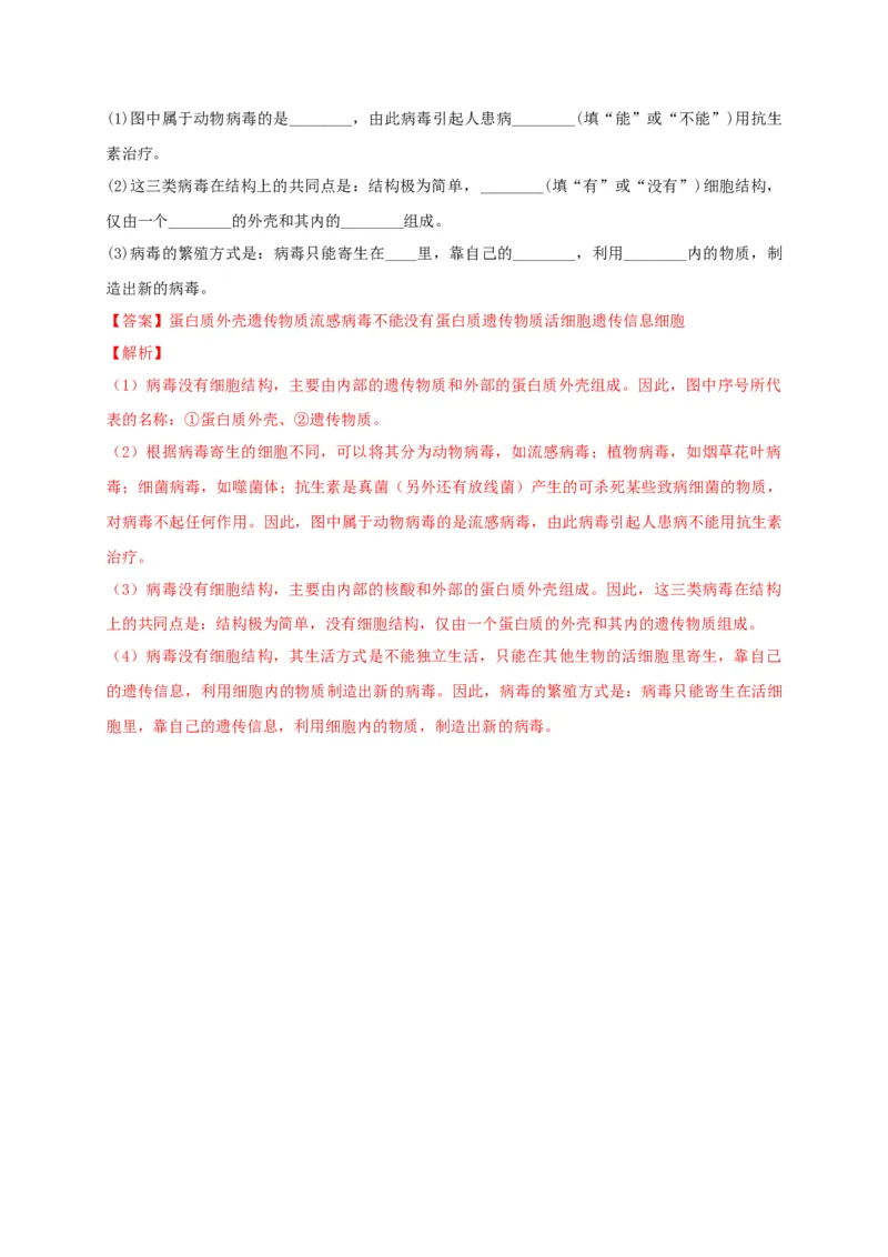5.5病毒（章末检测）（备作业）-（人教版）（解析版）_初中全科电子版试卷练习试题_生物_生物8上练习_人教生物8年级上单元试卷48份