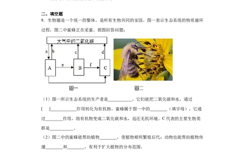 5.3动物在生物圈中的作用（练习）（原卷版）_初中全科电子版试卷练习试题_生物_生物8上练习_人教生物8年级上课时练习37份_第1套八年级生物上册课时练习（人教版）16份