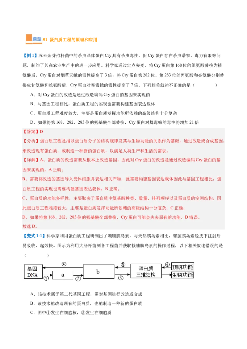 专题19基因工程与生物技术安全（10大题型）（解析版）_2025年新高考资料_一轮复习_备战2025年高考生物一轮复习题型全覆盖（新高考通用）