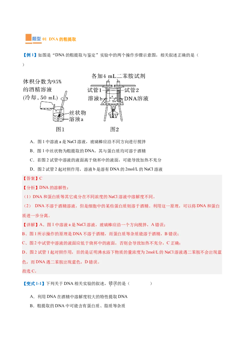 专题19基因工程与生物技术安全（10大题型）（解析版）_2025年新高考资料_一轮复习_备战2025年高考生物一轮复习题型全覆盖（新高考通用）