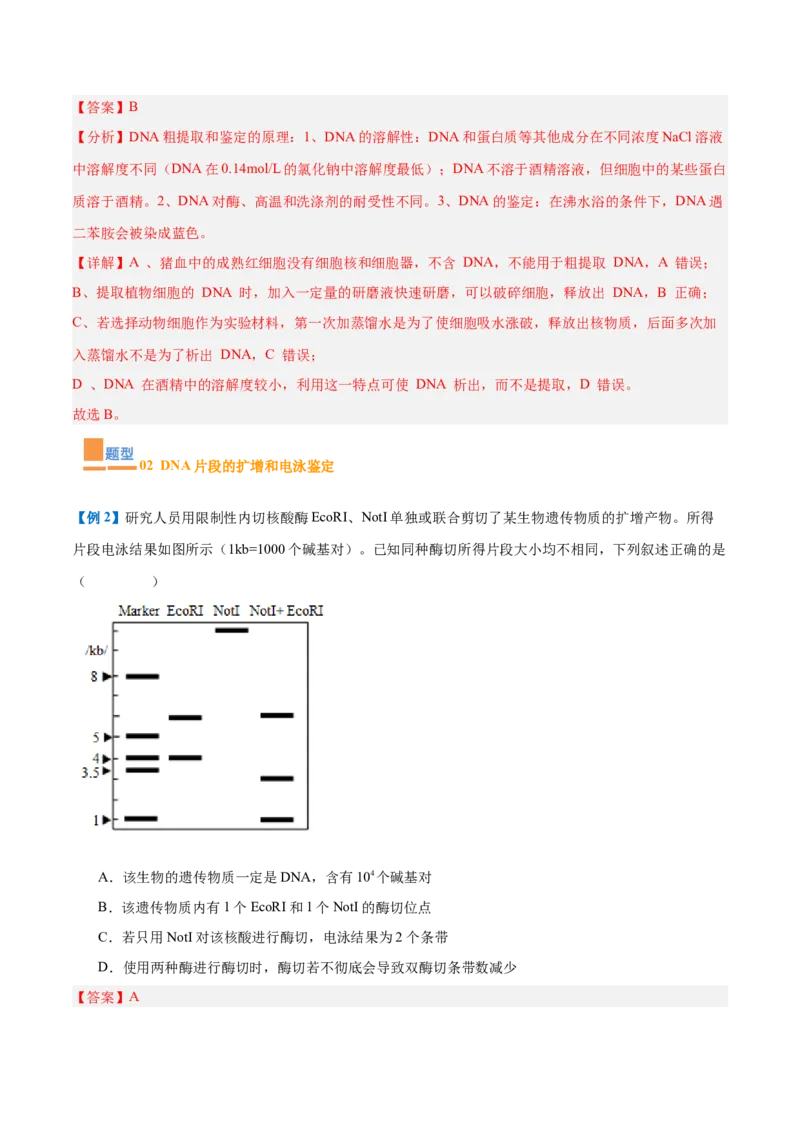 专题19基因工程与生物技术安全（10大题型）（解析版）_2025年新高考资料_一轮复习_备战2025年高考生物一轮复习题型全覆盖（新高考通用）