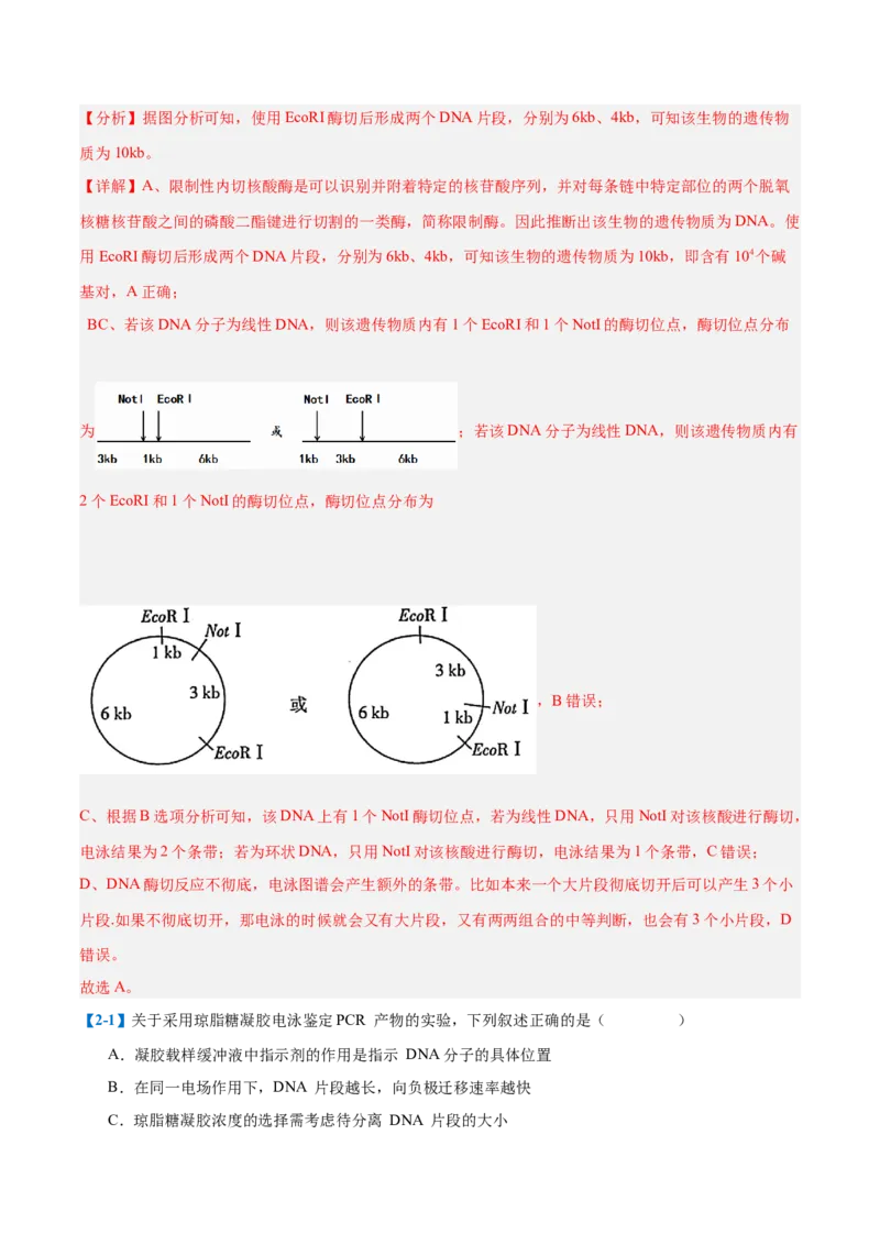 专题19基因工程与生物技术安全（10大题型）（解析版）_2025年新高考资料_一轮复习_备战2025年高考生物一轮复习题型全覆盖（新高考通用）