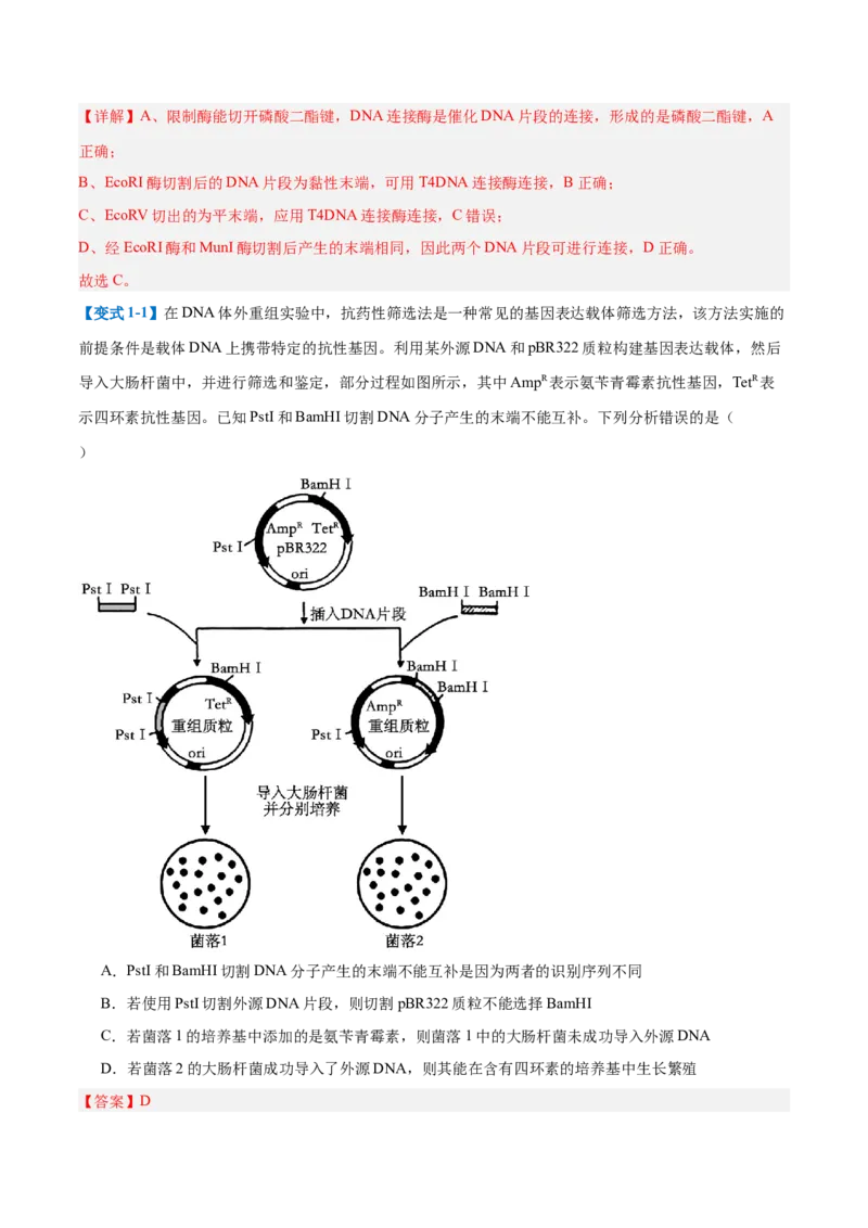 专题19基因工程与生物技术安全（10大题型）（解析版）_2025年新高考资料_一轮复习_备战2025年高考生物一轮复习题型全覆盖（新高考通用）