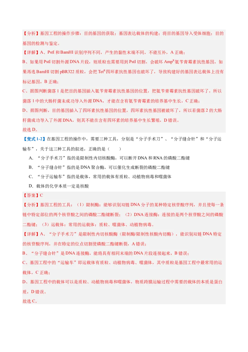 专题19基因工程与生物技术安全（10大题型）（解析版）_2025年新高考资料_一轮复习_备战2025年高考生物一轮复习题型全覆盖（新高考通用）