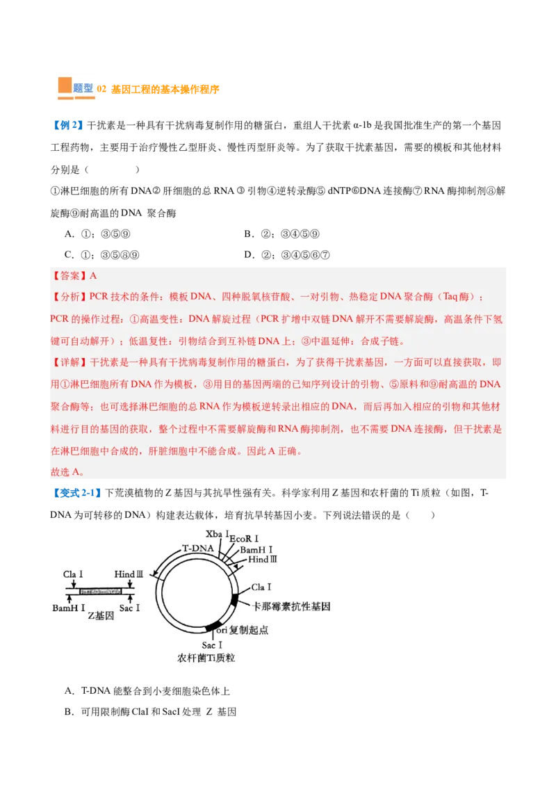 专题19基因工程与生物技术安全（10大题型）（解析版）_2025年新高考资料_一轮复习_备战2025年高考生物一轮复习题型全覆盖（新高考通用）