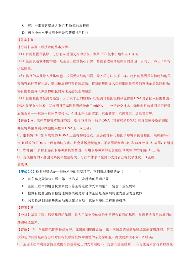 专题19基因工程与生物技术安全（10大题型）（解析版）_2025年新高考资料_一轮复习_备战2025年高考生物一轮复习题型全覆盖（新高考通用）