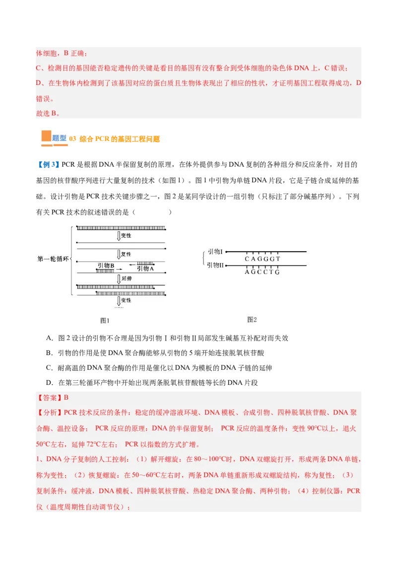 专题19基因工程与生物技术安全（10大题型）（解析版）_2025年新高考资料_一轮复习_备战2025年高考生物一轮复习题型全覆盖（新高考通用）