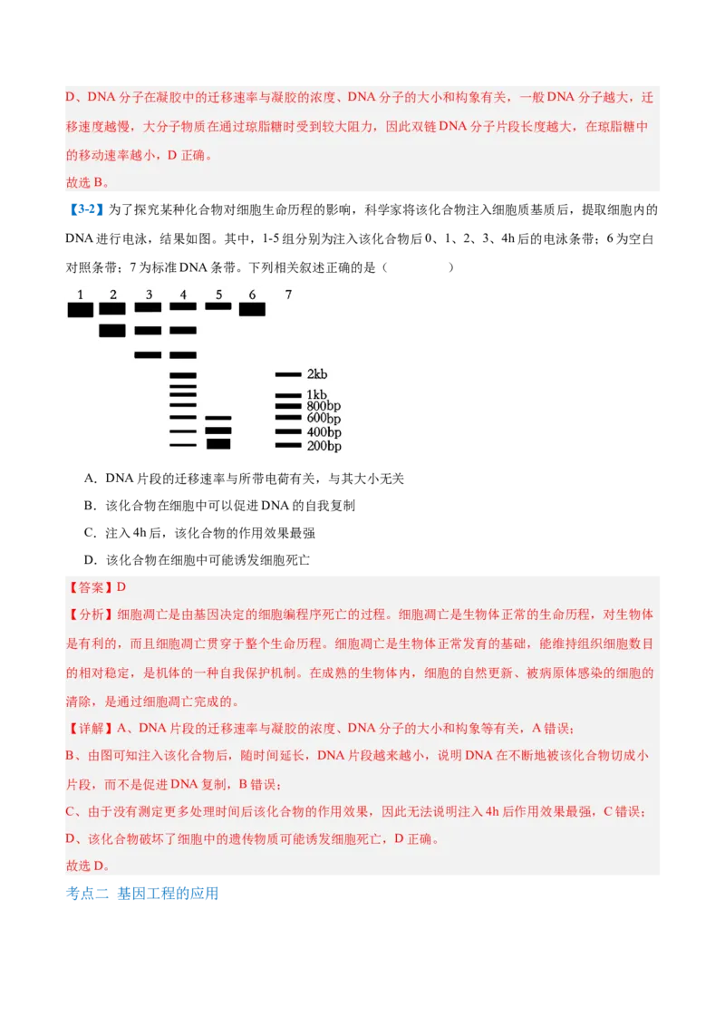 专题19基因工程与生物技术安全（10大题型）（解析版）_2025年新高考资料_一轮复习_备战2025年高考生物一轮复习题型全覆盖（新高考通用）