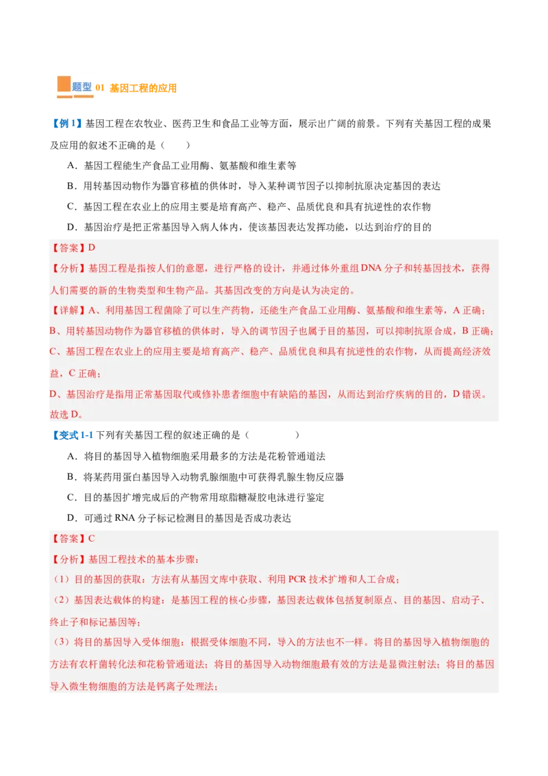 专题19基因工程与生物技术安全（10大题型）（解析版）_2025年新高考资料_一轮复习_备战2025年高考生物一轮复习题型全覆盖（新高考通用）