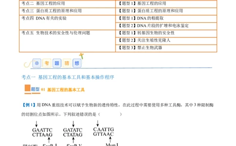 专题19基因工程与生物技术安全（10大题型）（解析版）_2025年新高考资料_一轮复习_备战2025年高考生物一轮复习题型全覆盖（新高考通用）