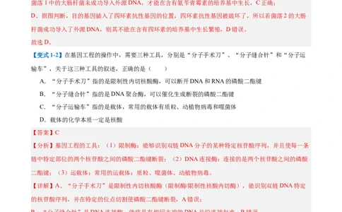 专题19基因工程与生物技术安全（10大题型）（解析版）_2025年新高考资料_一轮复习_备战2025年高考生物一轮复习题型全覆盖（新高考通用）