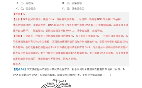 专题19基因工程与生物技术安全（10大题型）（解析版）_2025年新高考资料_一轮复习_备战2025年高考生物一轮复习题型全覆盖（新高考通用）
