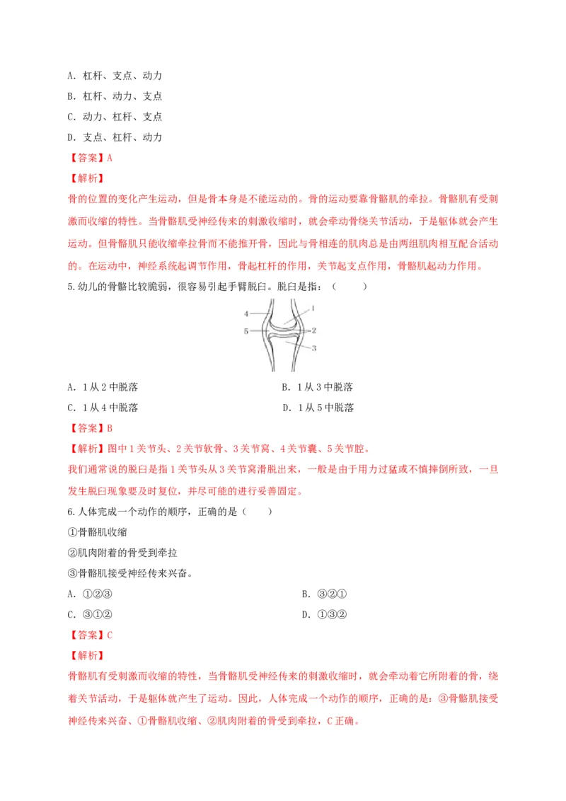 5.2.1动物的运动（备作业）-（人教版）（解析版）_初中全科电子版试卷练习试题_生物_生物8上练习_人教生物8年级上课时练习37份