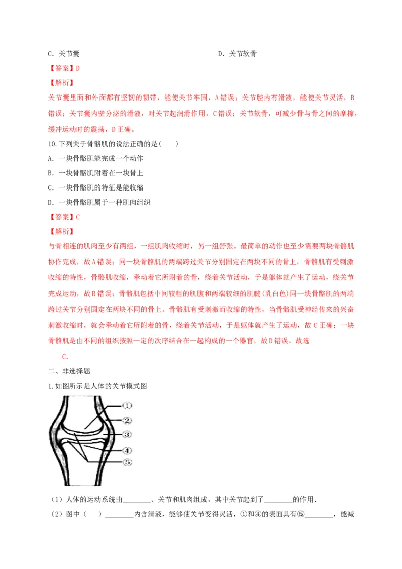 5.2.1动物的运动（备作业）-（人教版）（解析版）_初中全科电子版试卷练习试题_生物_生物8上练习_人教生物8年级上课时练习37份