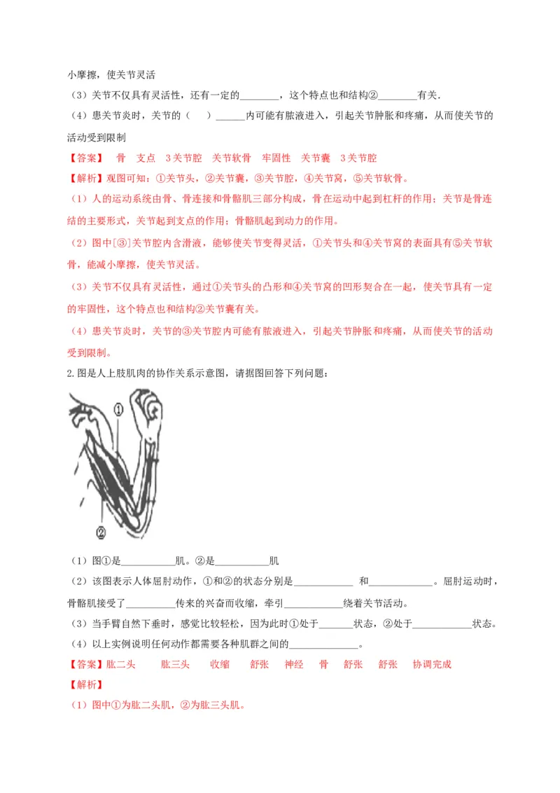 5.2.1动物的运动（备作业）-（人教版）（解析版）_初中全科电子版试卷练习试题_生物_生物8上练习_人教生物8年级上课时练习37份