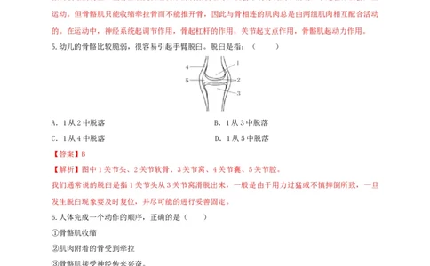5.2.1动物的运动（备作业）-（人教版）（解析版）_初中全科电子版试卷练习试题_生物_生物8上练习_人教生物8年级上课时练习37份