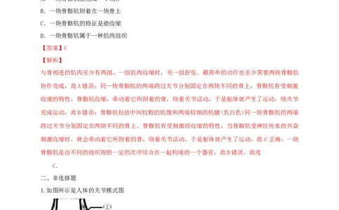 5.2.1动物的运动（备作业）-（人教版）（解析版）_初中全科电子版试卷练习试题_生物_生物8上练习_人教生物8年级上课时练习37份