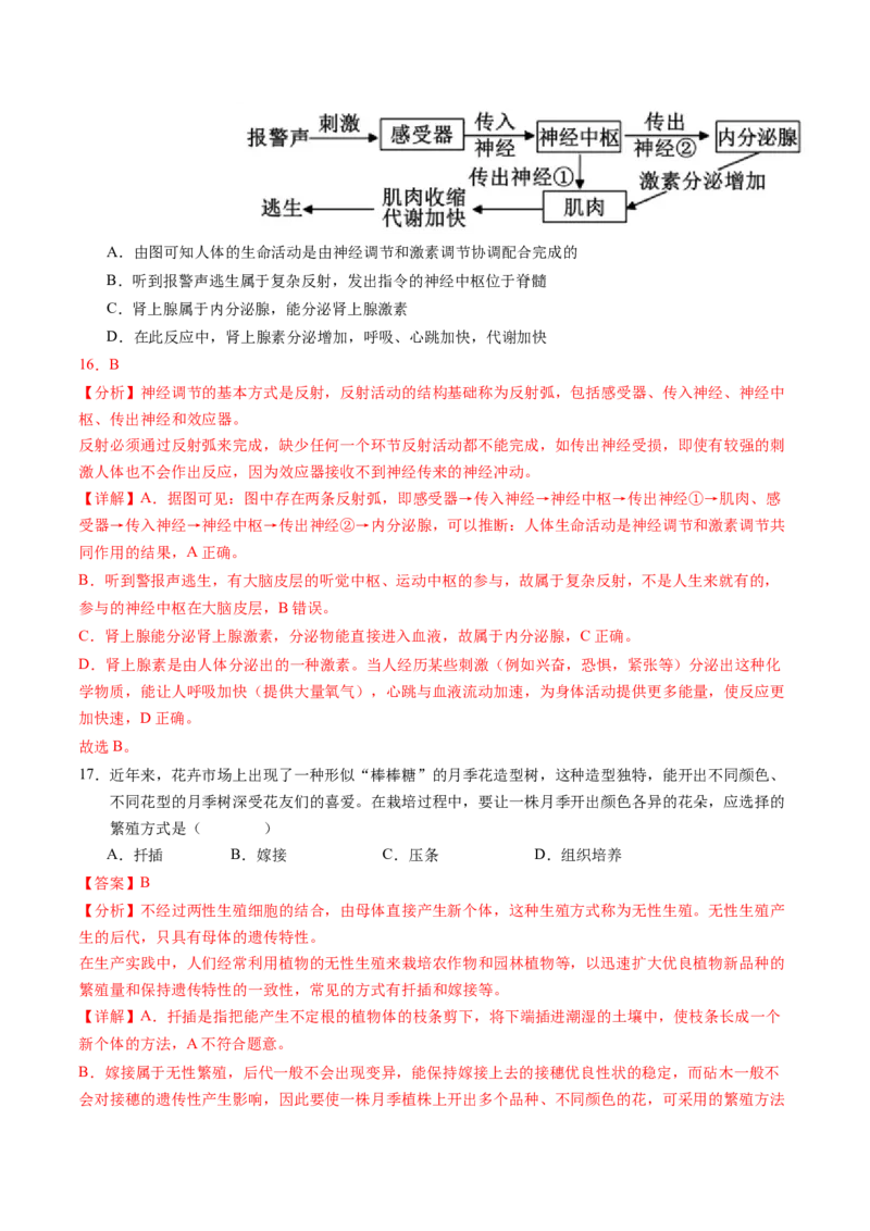 2024年中考押题预测卷（深圳卷）-生物（全解全析）_初中全科电子版试卷练习试题_生物_2024中考模拟题生物(1)_押题预测