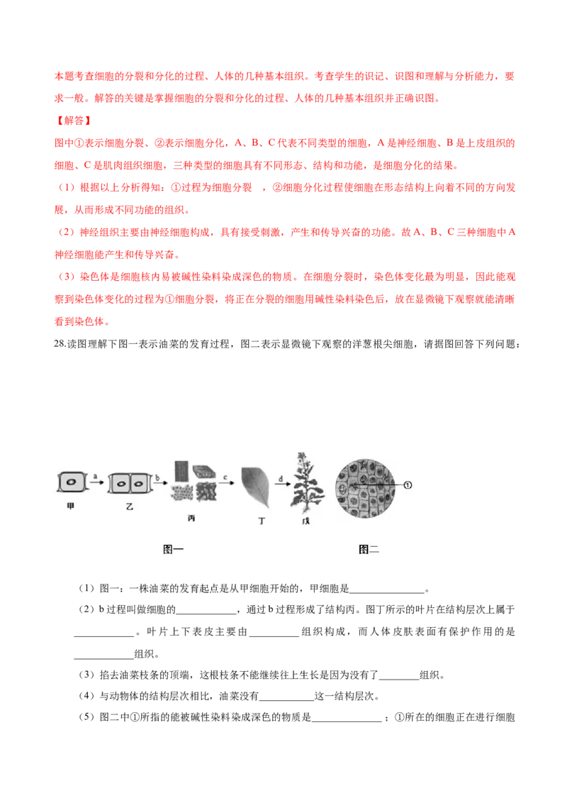 2.2章末检测（解析版）_初中全科电子版试卷练习试题_生物_生物人教版7上练习&mdash;24新版已更新_人教生物7年级上单元试卷36份_第3套七年级生物上册单元试卷（人教版）06份